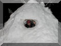 2000-12-29_18-55-36-small.jpg (8467b)