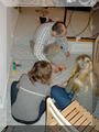 2000-12-29_22-07-22-small.jpg (10031b)