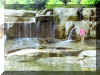 river2.jpg (147895 bytes)