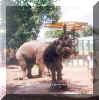 24_elephants.jpg (75965 bytes)