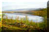 landscape.jpg (133004 bytes)
