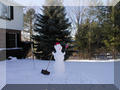 2001-01-13_12-14-17-small.jpg (9783b)